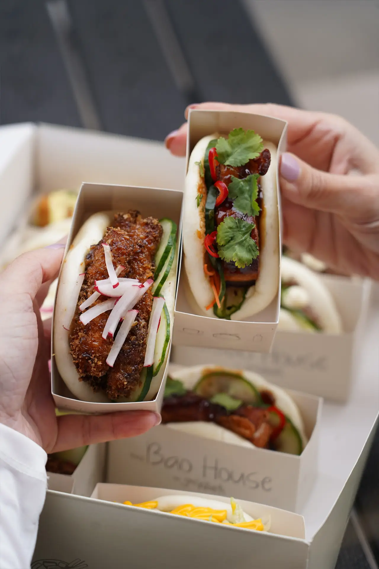 the_bao_slider_4
